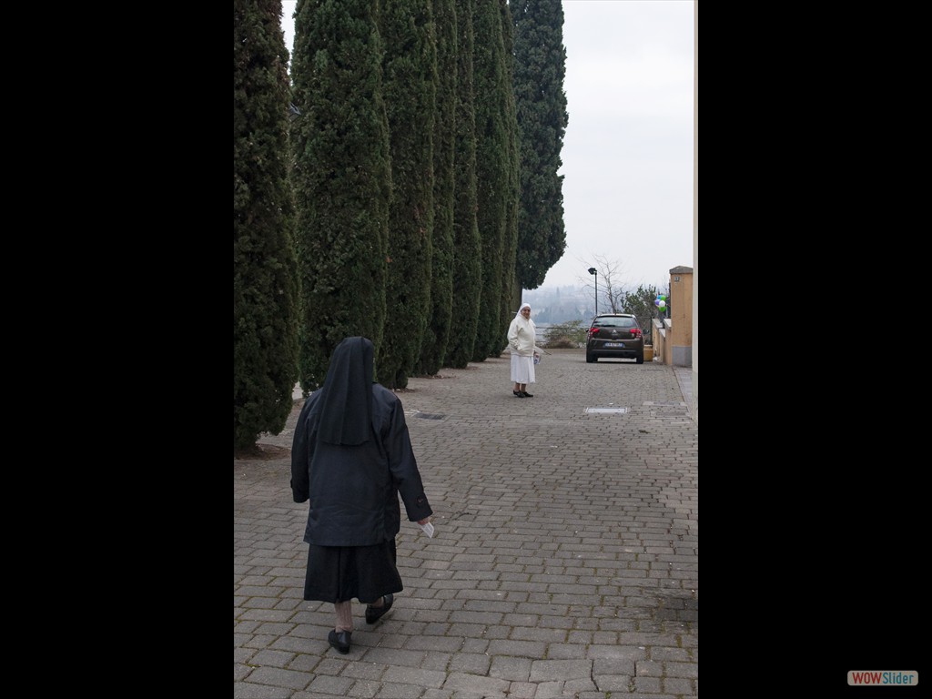 DSC_3461JPG